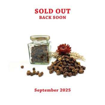 Fermented Bee Bread (Perga) – Nutrient-Rich Natural Product